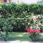 Kalia, Sunny Slantschew brjag