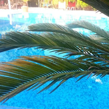 Kalia, Sunny Sunny Beach