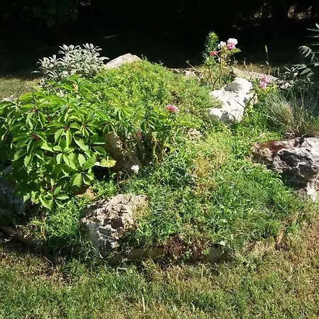 Апартаменти Kalia, Sunny