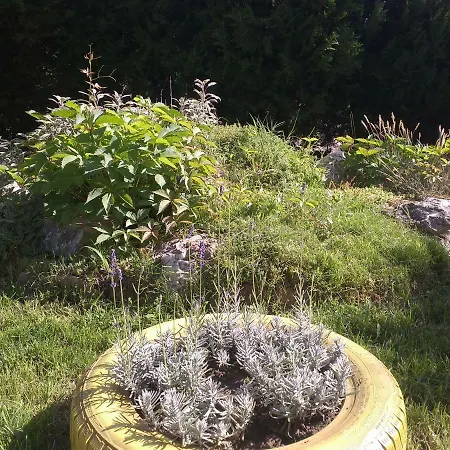 Апартаменти Kalia, Sunny