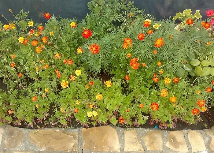 Kalia, Sunny 公寓 *