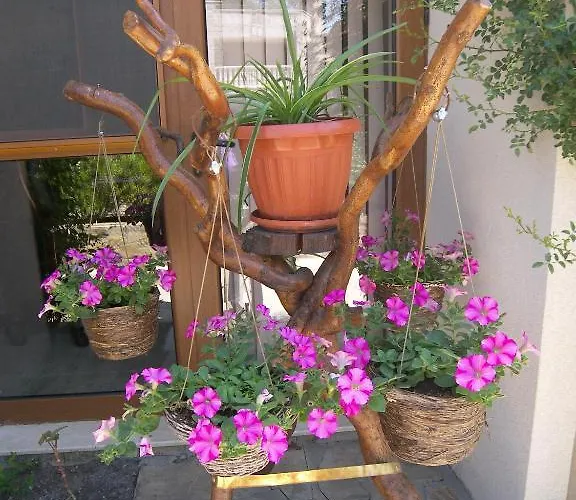 Kalia, Sunny * 阳光海滩