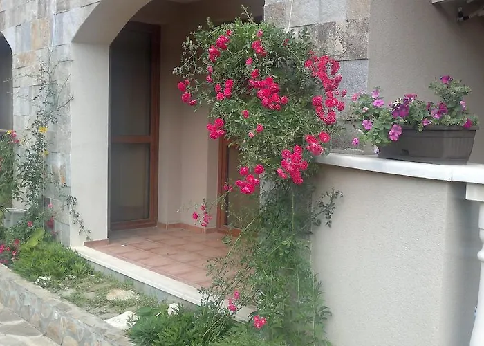 Kalia, Sunny * 阳光海滩