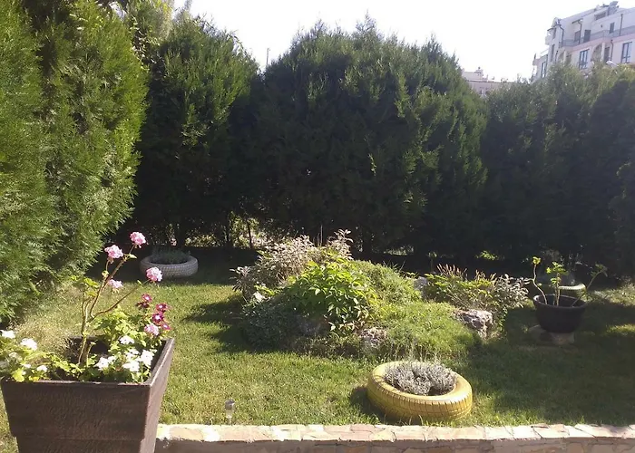 Kalia, Sunny * 阳光海滩