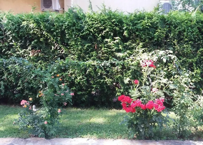 Kalia, Sunny 阳光海滩