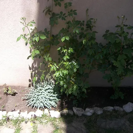 Kalia, Sunny Apartment Slantschew brjag