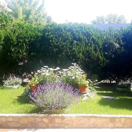 Kalia, Sunny Apartament Sunny Beach