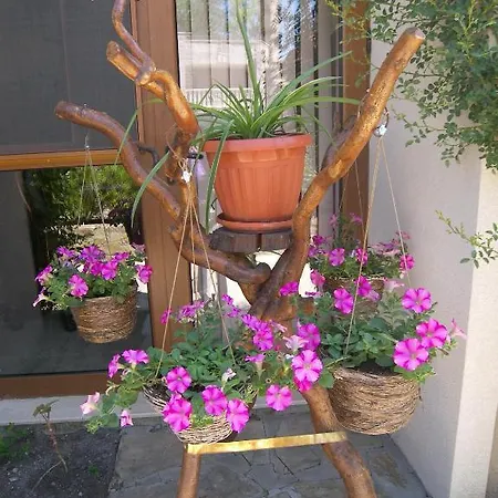 Kalia, Sunny * Sunny Beach