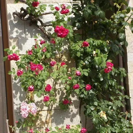 Apartament Kalia, Sunny