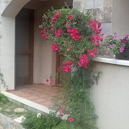 Kalia, Sunny * Sunny Beach