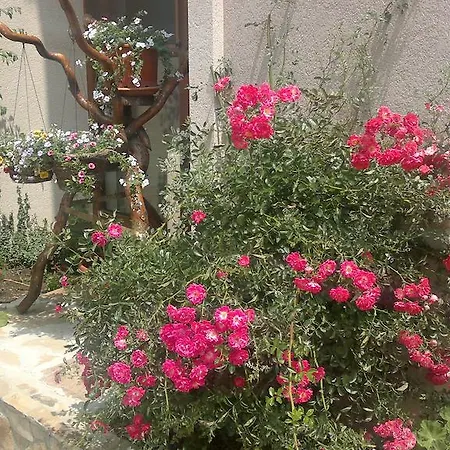 Kalia, Sunny Apartament Sunny Beach