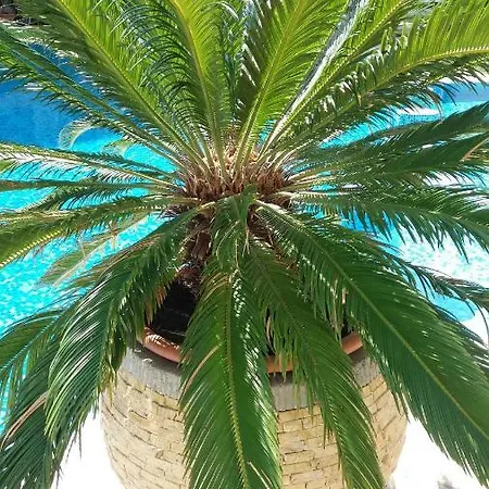 Apartament Kalia, Sunny *