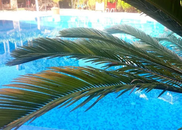 Kalia, Sunny Sunny Beach