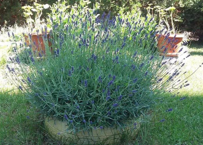 Apartamento Kalia, Sunny