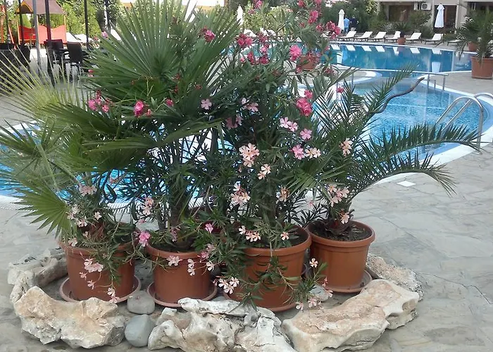 Kalia, Sunny Apartamento