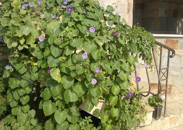 Apartamento Kalia, Sunny *