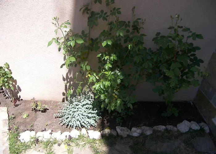 Kalia, Sunny Apartamento Sunny Beach