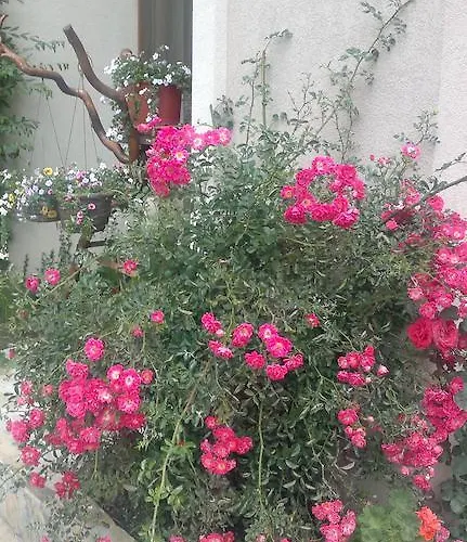 Kalia, Sunny Apartamento *