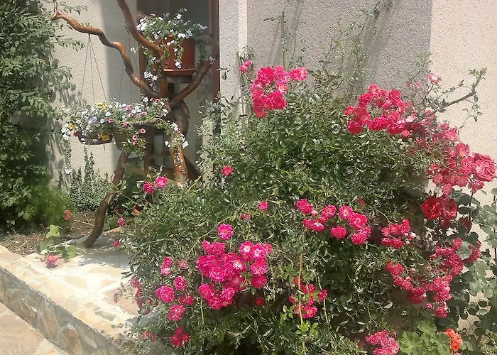 Kalia, Sunny Apartamento Sunny Beach