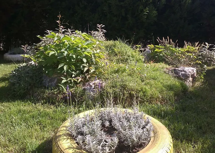 Apartamento Kalia, Sunny