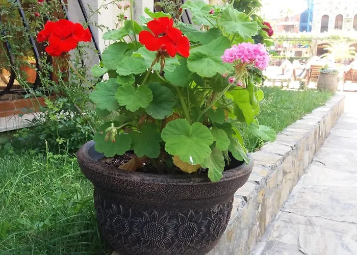 Apartamento Kalia, Sunny Sunny Beach